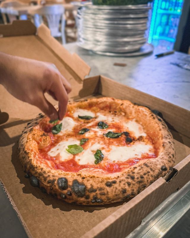 Margherita pizza #brigade #neapolitanpizza #montrealpizza #mtlfood