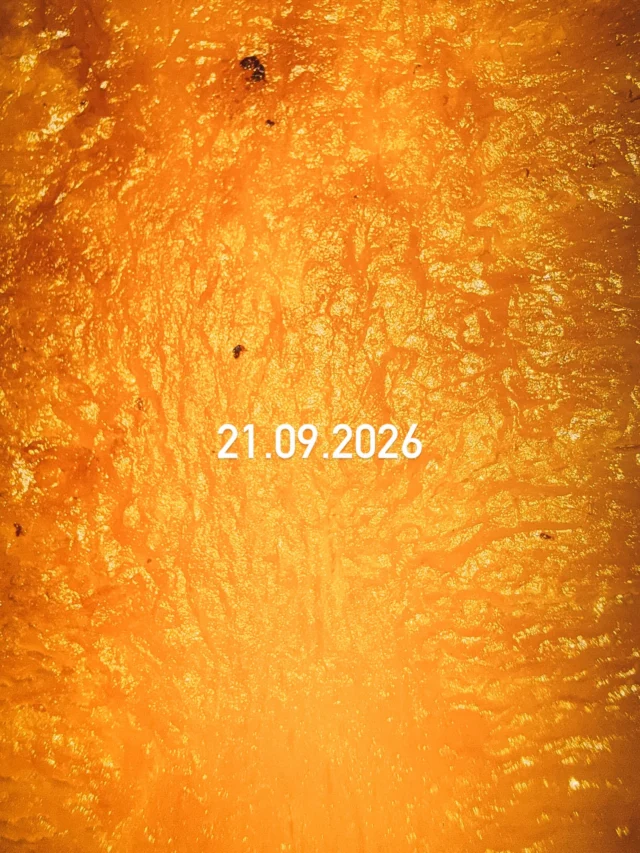 Quelque chose arrive.
21.09.2026 🍂

Something’s coming.
21.09.2026 🍂