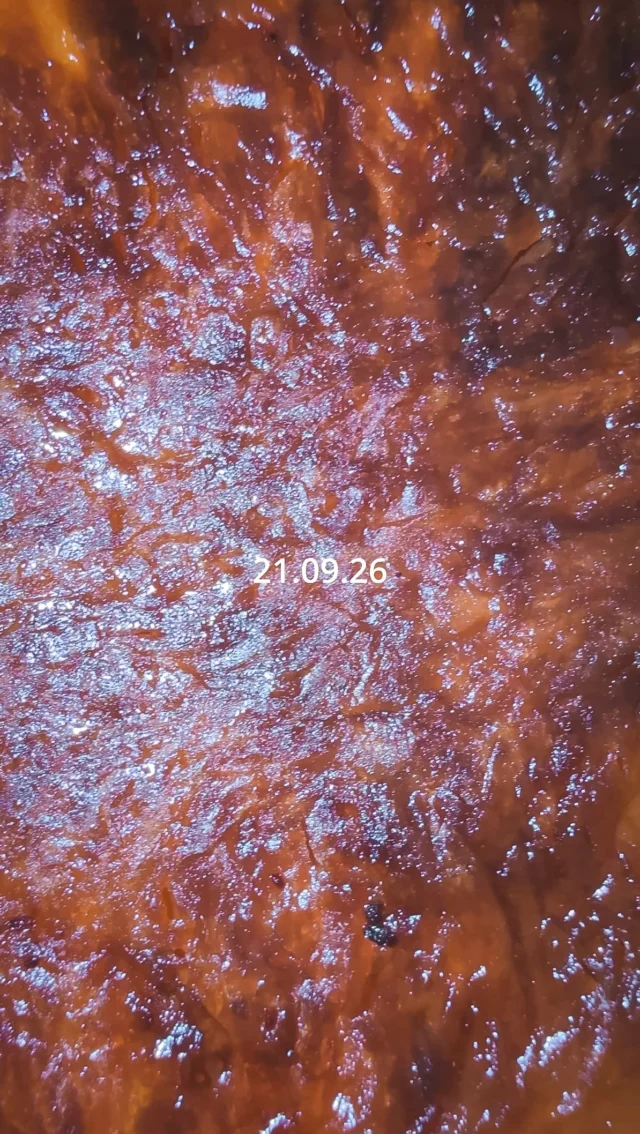 21.09